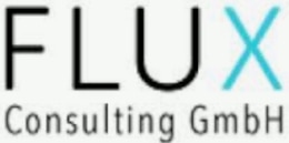 flux Consulting GmbH