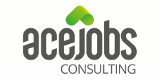 ACE CONSULTING GMBH