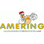 Logo Amering Salzkammergut Eiprodukte GmbH