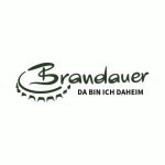 Logo Thomas BRANDAUER e.U.