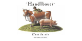 Logo Herbert Handlbauer GmbH